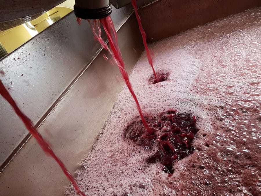 wine flows in metallic bin from wine storage tank at Oinodos Wines facilities